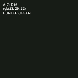 #171D16 - Hunter Green Color Image